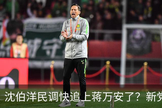 沈伯洋民调快追上蒋万安了？新党议员侯汉廷曝基层实况